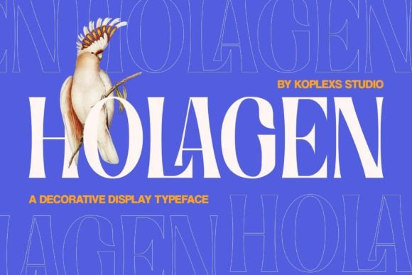 Holagen Serif Font for Campaign Design and Visual Storytelling