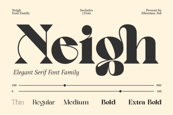 Neigh Serif Font for Vintage and Modern Brand Identity