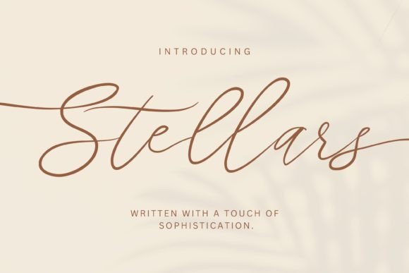 Stellars Script Font for Elegant Campaign Design